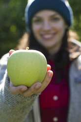 A woman holds a ripe, freshly picked apple on a farm in New York. - AURF03823