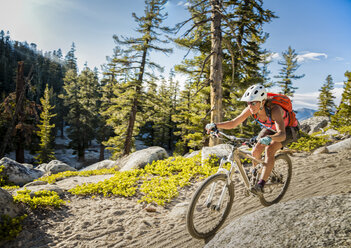 Eine Frau ist mit dem Mountainbike auf dem Tahoe Rim Trail unterwegs. - AURF03841