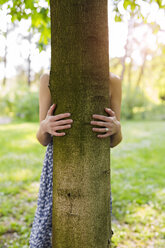 Hände einer Frau, die einen Baum umarmen - GIOF04285