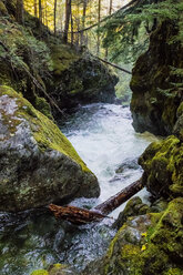 Stream flowing between rocks in forest, Whistler, British Columbia, Canada - AURF03876