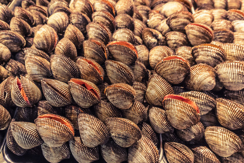 Blutmuscheln auf dem Tsukiji-Fischmarkt in Tokio, Japan, lizenzfreies Stockfoto