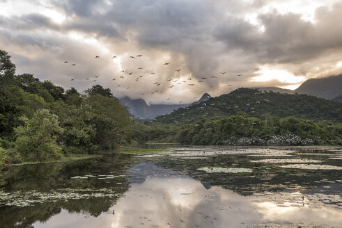 See und Atlantischer Regenwald, REGUA Ökologisches Reservat, Rio de Janeiro, Brasilien - AURF03962