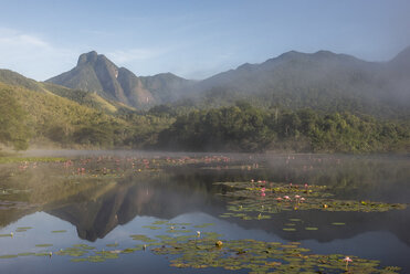 Lake and Atlantic Rainforest, REGUA Ecological Reserve, Rio de Janeiro, Brazil - AURF03963