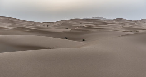 Wüste Sahara, Merzouga, Marokko - AURF03996