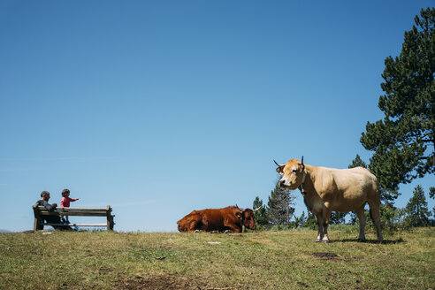 Frankreich, Osseja, Vater und kleines Mädchen ruhen sich auf einer Bank in den Bergen aus und beobachten Kühe - GEMF02415