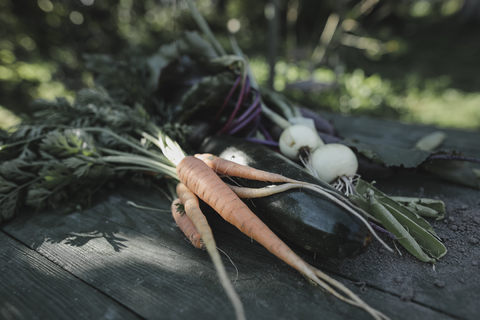 Gemischtes Gemüse auf dem Gartentisch liegend, lizenzfreies Stockfoto