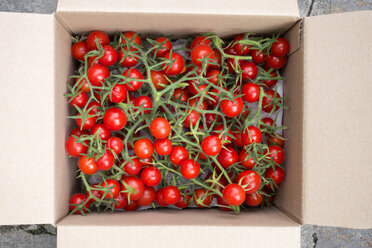 Bio-Tomaten in der Kiste - NDF00794