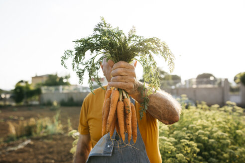 Unrecognizable senior man holding bunch of harvested carrots - JRFF01839