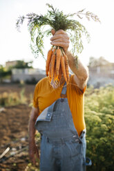 Unrecognizable senior man holding bunch of harvested carrots - JRFF01840