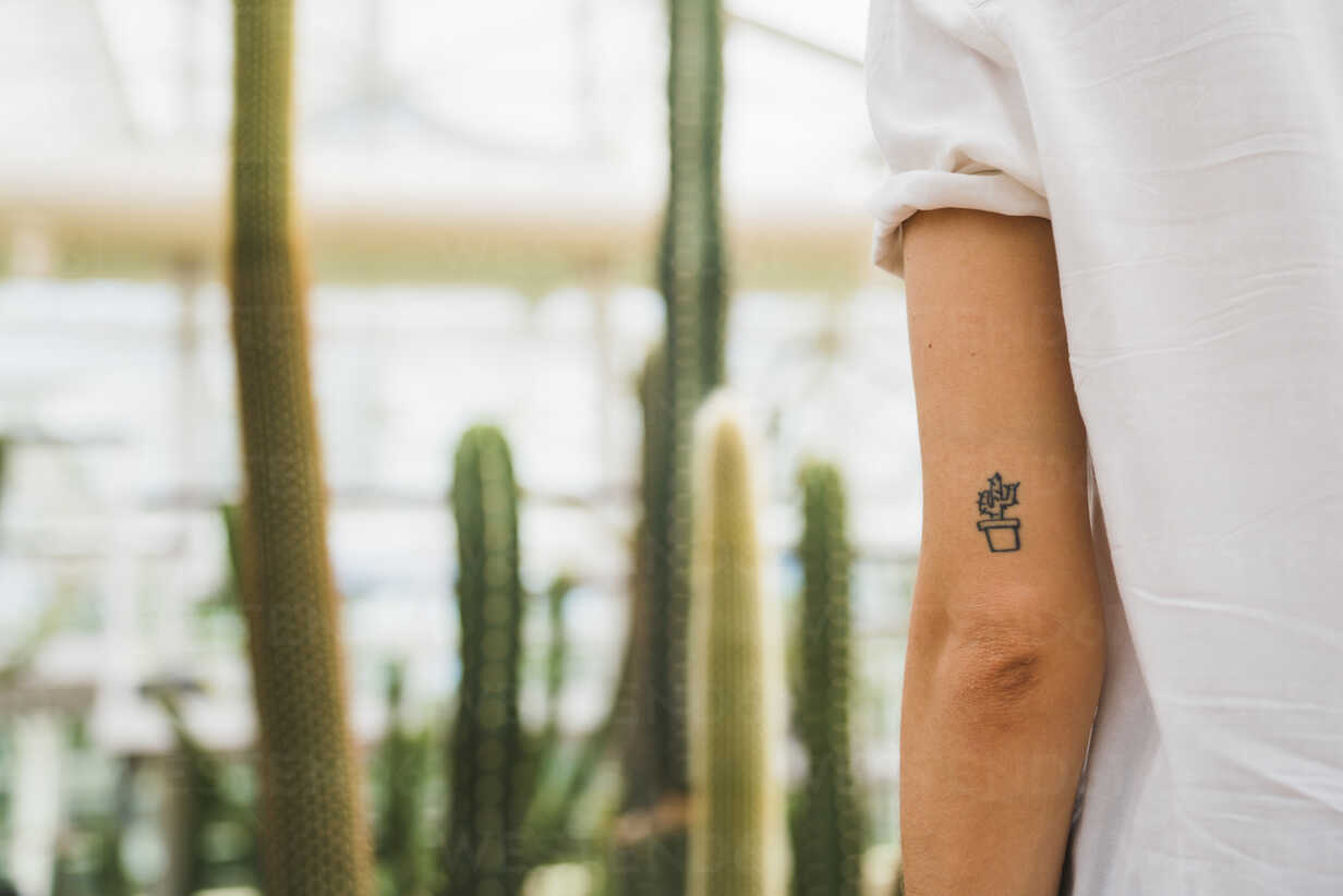 Explore the 20 Best cactus Tattoo Ideas (2018) • Tattoodo