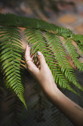 Hand of a young woman touching fern leaves - KKAF01668