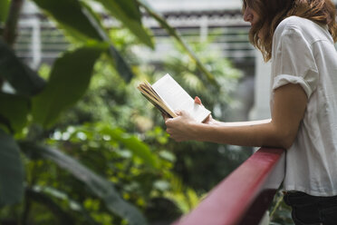 Junge Frau im Gewächshaus, die ein Buch liest - KKAF01674