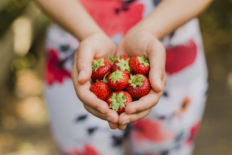 Junge Frau hält eine Handvoll Erdbeeren, lizenzfreies Stockfoto