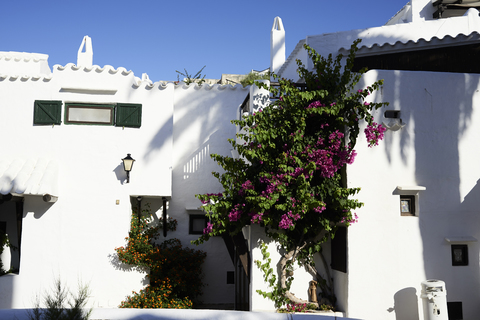Spanien, Menorca, Binibequer, blühende Pflanzen an Hausfassaden, lizenzfreies Stockfoto