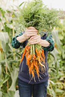 Unrecognizable senior woman holding bunch of harvested carrots - NMSF00250