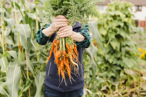 Unrecognizable senior woman holding bunch of harvested carrots - NMSF00251