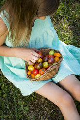 Little girl with basket of Heirloom tomatoes sitting on meadow in the garden - LVF07424