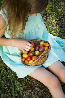 Kleines Mädchen mit Korb voller Heirloom-Tomaten auf einer Wiese im Garten sitzend - LVF07424