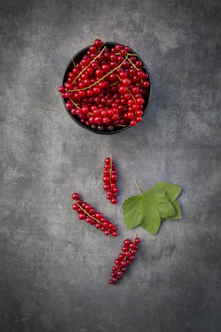 Bowl of red currants stock photo