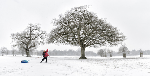 UK, Frau, die einen Schlitten durch eine verschneite Winterlandschaft zieht, lizenzfreies Stockfoto
