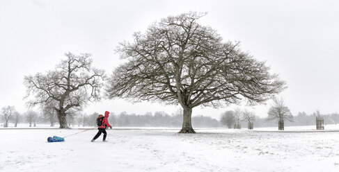 UK, Frau, die einen Schlitten durch eine verschneite Winterlandschaft zieht - ALRF01277