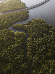 Indonesien, Bali, Luftaufnahme einer Straße durch einen Mangrovenwald an der Küste - KNTF01312