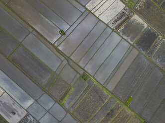 Indonesia, Bali, Aerial view of rice fields - KNTF01331