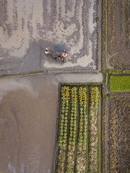 Indonesien, Bali, Luftaufnahme eines Bauern im Reisfeld - KNTF01332