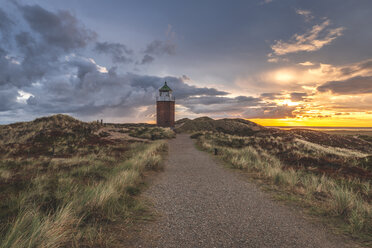 Deutschland, Schleswig-Holstein, Sylt, Kampen, Querlicht in den Dünen bei Sonnenuntergang - KEBF00929