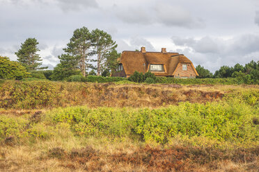 Deutschland, Schleswig-Holstein, Sylt, Reetdachhaus in der Braderuper Heide - KEBF00930