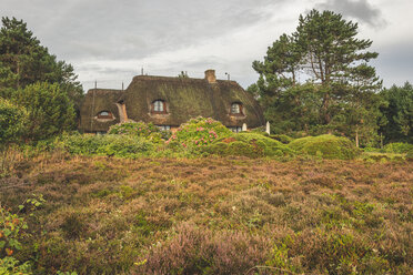 Deutschland, Schleswig-Holstein, Sylt, Reetdachhaus in der Braderuper Heide - KEBF00931