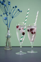 Eiswürfel mit Brombeeren in Sektgläsern, Trockenblumen in Vase - GISF00384