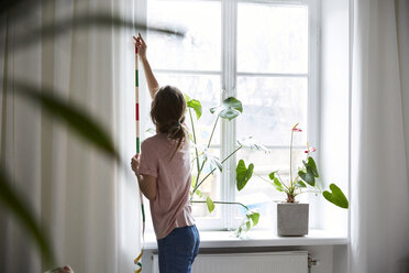 Rückansicht eines Modedesigners, der zu Hause Vorhänge an der Wand misst - MASF08760