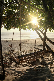 Bamboo swing hanging from tree at beach on sunny day - MASF08801