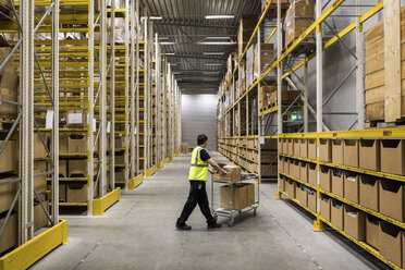 Full length of young warehouse worker pushing cart on aisle in industrial building - MASF09166