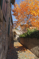 Deutschland, Rheinland-Pfalz, Freinsheim, Stadtmauer und leerer Weg im Herbst - GWF05641