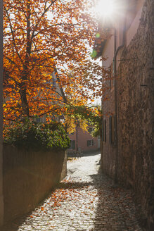 Deutschland, Rheinland-Pfalz, Freinsheim, Stadtmauer und leere Gasse im Herbst - GWF05643