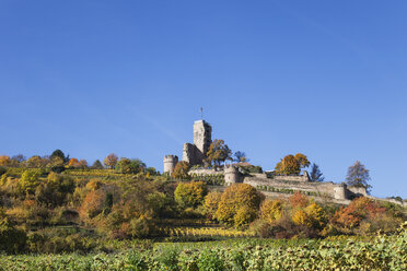 Deutschland,Rheinland-Pfalz, Pfalz, Wachenheim, Schloss, Herbstfarben, Deutsche Weinstraße - GWF05666