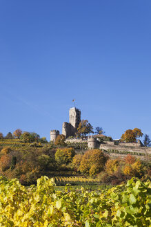 Deutschland,Rheinland-Pfalz, Pfalz, Wachenheim, Schloss, Herbstfarben, Deutsche Weinstraße - GWF05667