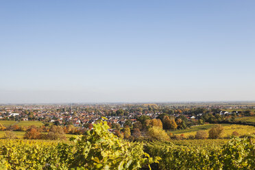 Germany,Rhineland-Palatinate, Pfalz, Deidesheim, German Wine Route, vineyards in autumn colours, Ludwigshafen in distance - GWF05673