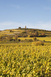 Deutschland,Rheinland-Pfalz, Pfalz, Deutsche Weinstraße, Flaggenturm auf dem Fuchsmantel und Weinberge in Herbstfarben - GWF05677