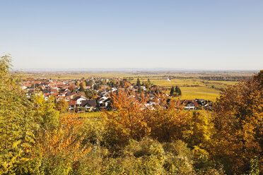 Germany,Rhineland-Palatinate, Pfalz, - GWF05678