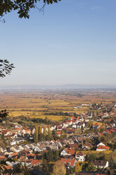 Germany,Rhineland-Palatinate, Pfalz, German Wine Route, wine village Gimmeldingen and autumn vineyards, Rhine Valley in distance - GWF05685