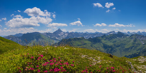 Deutschland, Bayern, Blick von Koblat am Nebelhorn zum Hochvogel - WGF01246