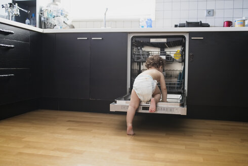 Back view of baby boy wearing diaper exploring dishwasher in the kitchen - AZOF00012