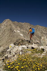 Ein Mann besteigt den Little Bear Peak, Alamosa, Colorado. - AURF04054