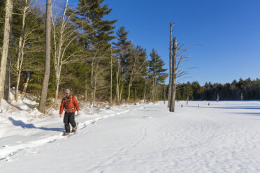 Ein Mann überquert mit Schneeschuhen einen zugefrorenen Biberteich auf einem neu geschützten Grundstück in Epping, New Hampshire. - AURF04075