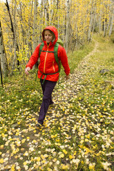 Eine Frau wandert im Herbst im Uncompaghre National Forest, Ouray, Colorado. - AURF04116