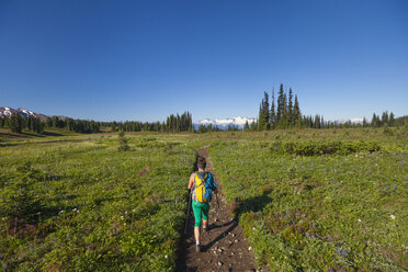 A young woman backpacking through Taylor Meadows in Garibaldi Provincial Park, British Columbia, Canada. - AURF04221