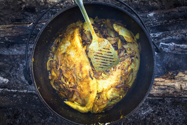 Atchafalaya River, Louisiana, USA. Looking down on catfish cooking in a black cast iron pot over a wood fire. - AURF04296
